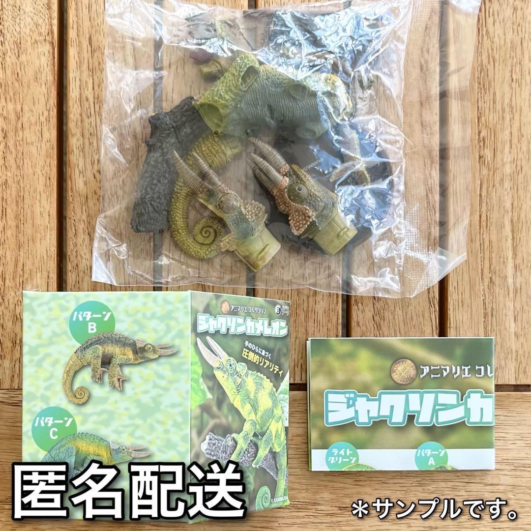 アニマリエコレクション ジャクソンカメレオン BOX版 パターンB