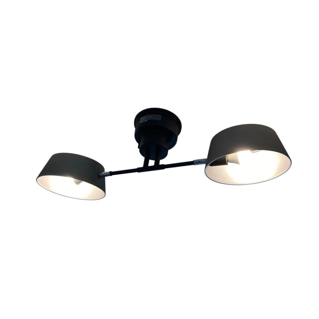 エルックス 2灯シーリングライト カピエンテ ヴィンテージシルバー