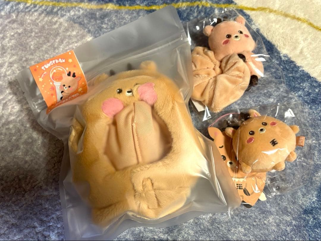 RIIZE ペンライトカバー シュシュ キーホルダー ウラッバム ソンチャン