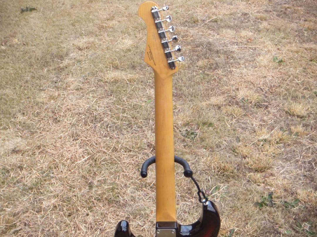 Fujigen nst 200