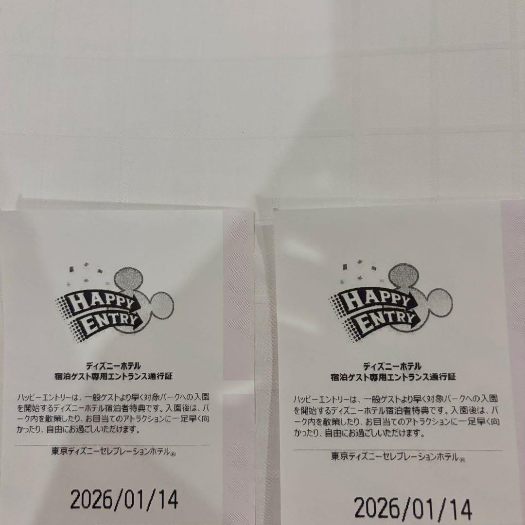ハピエン ディズニーランド 1/14 初日 TDR - メルカリ