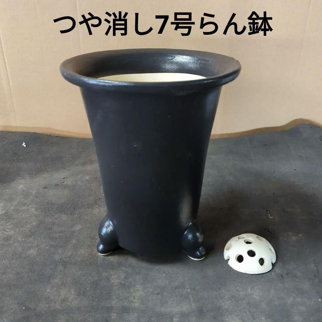 つや消し 足つき蘭鉢 7号 - メルカリ