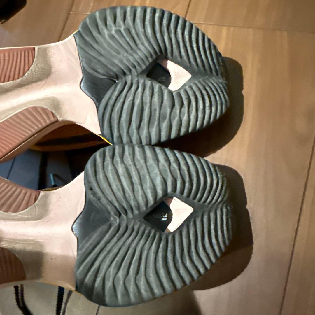 NIKEズームXアルファフライEKIDEN 26.5cm