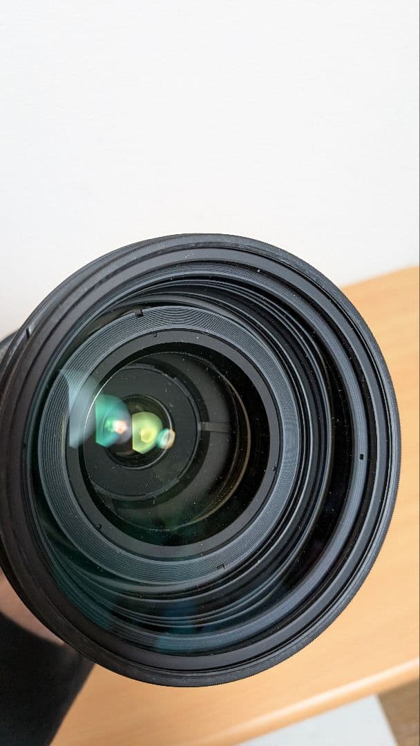 SIGMA DG 50-500mm F4.5-6.3 APO HSM (ニコン)