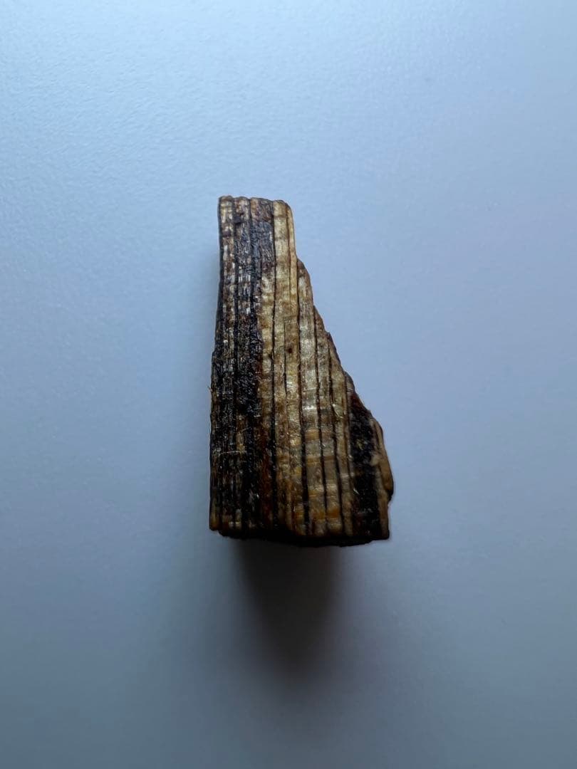 古渡命銘木 百二十種名香　伽羅　銘【片糸】0.223g 香木/お香/沈香/伽羅