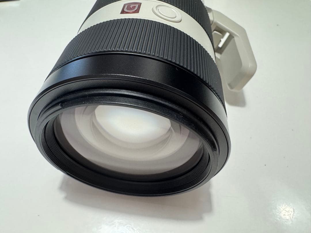 ソニー FE 100-400mm F4.5-5.6 GM OSS