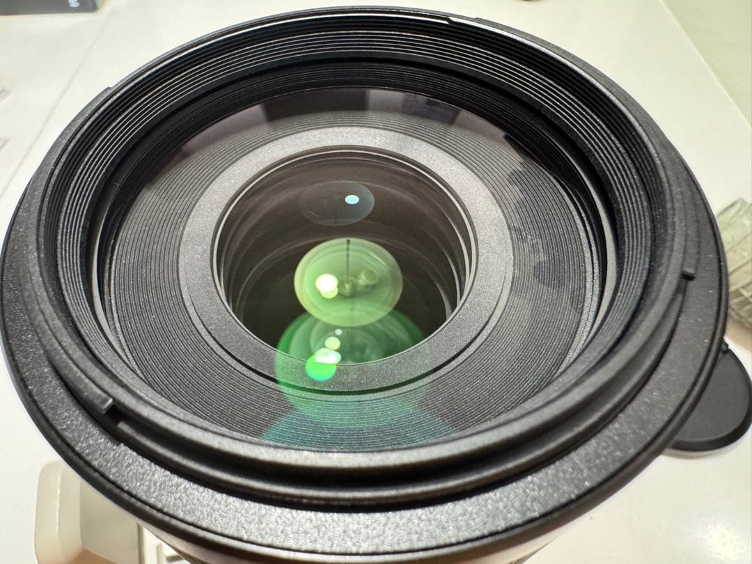 ソニー FE 100-400mm F4.5-5.6 GM OSS