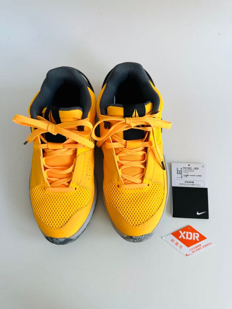シューズ(男性用) Nike JA1 PE EP 24.5cm