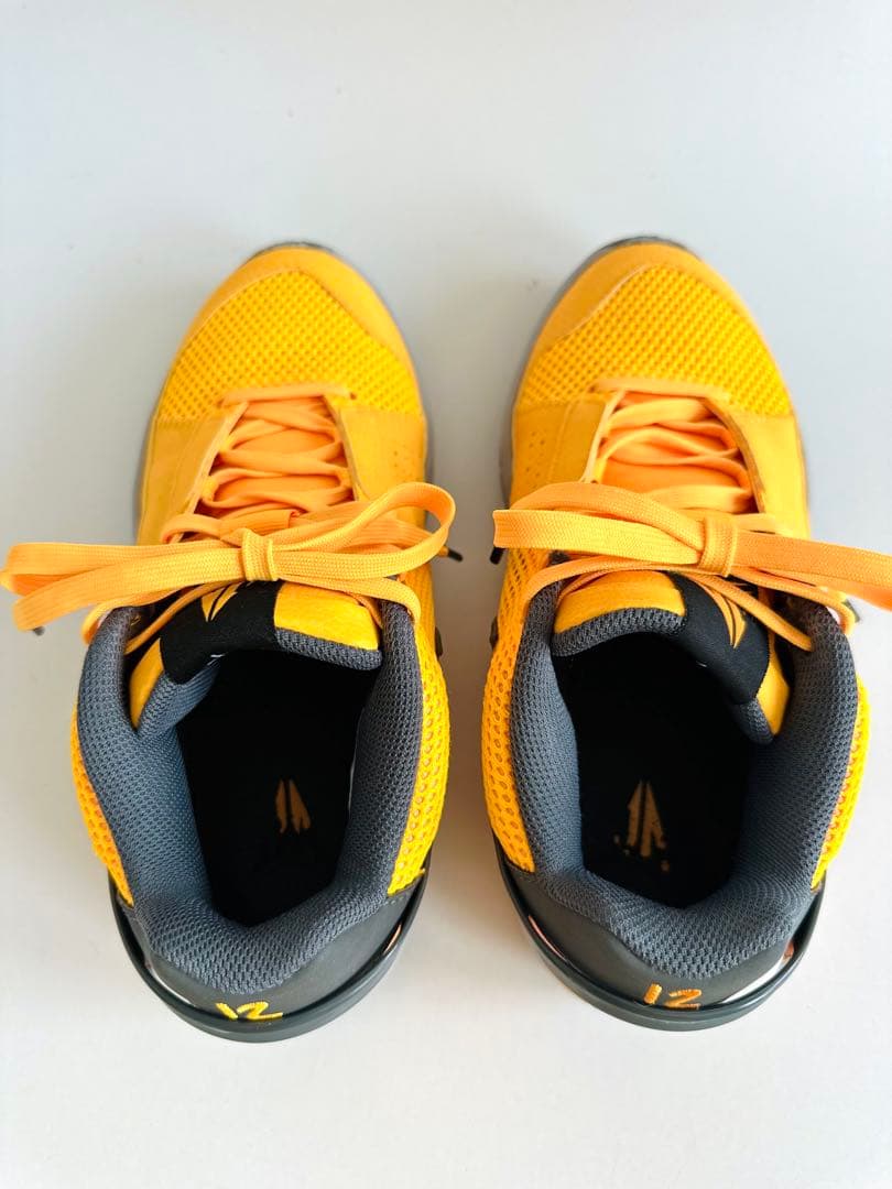 シューズ(男性用) Nike JA1 PE EP 24.5cm