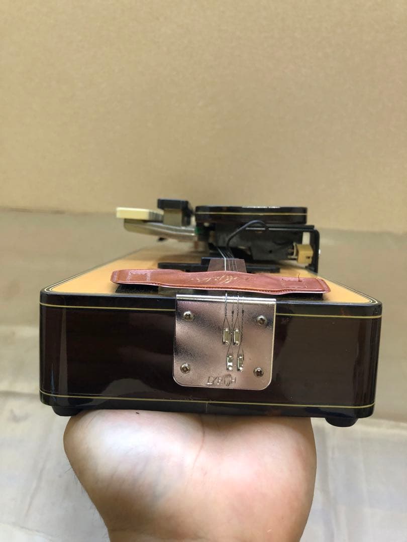 ライリッシュ 電気大正琴 ケース付き