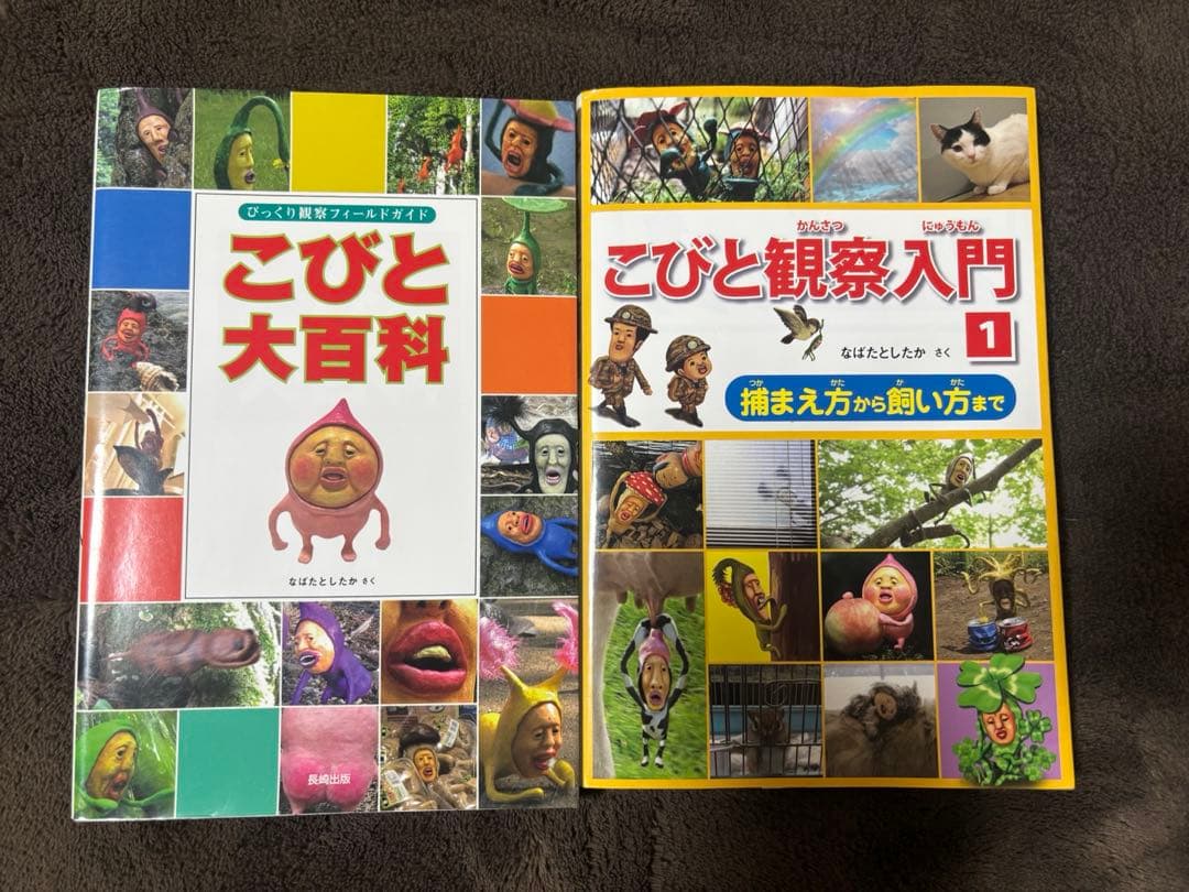 こびと観察入門 DVD BOXセット＋こびと観察入門1＋こびと大百科 - メルカリ
