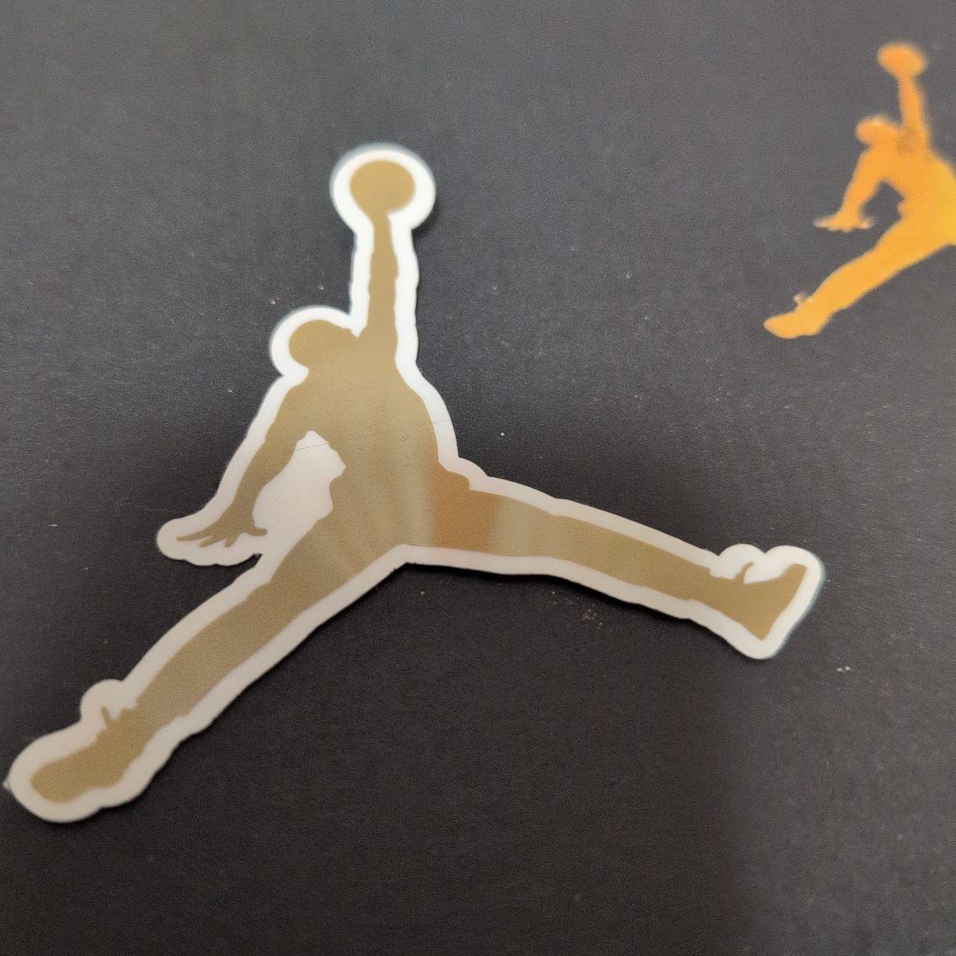 NIKE　エア・ジョーダン1　DQ8390-100 25.0cm