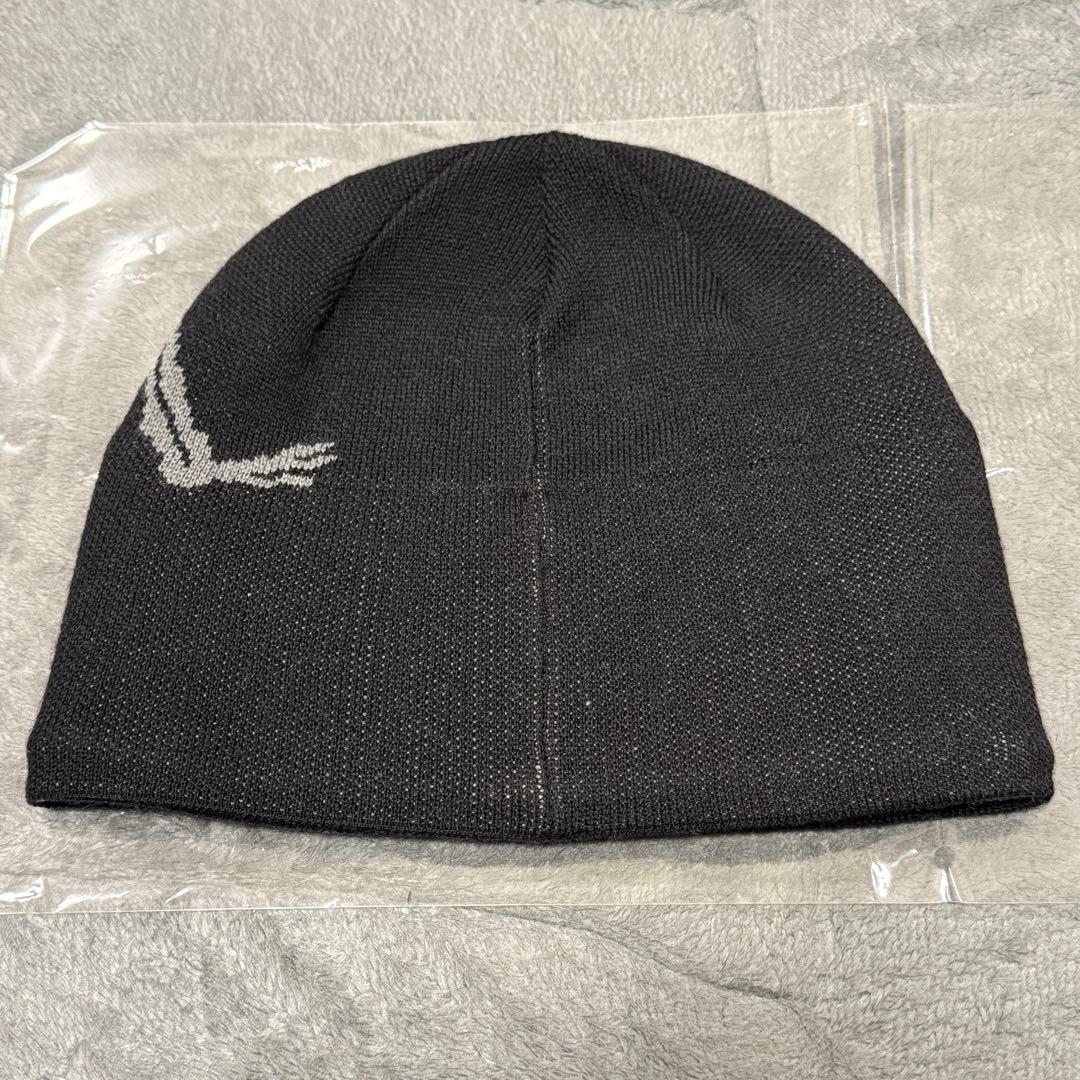 ARC'TERYX Bird Head Toque 