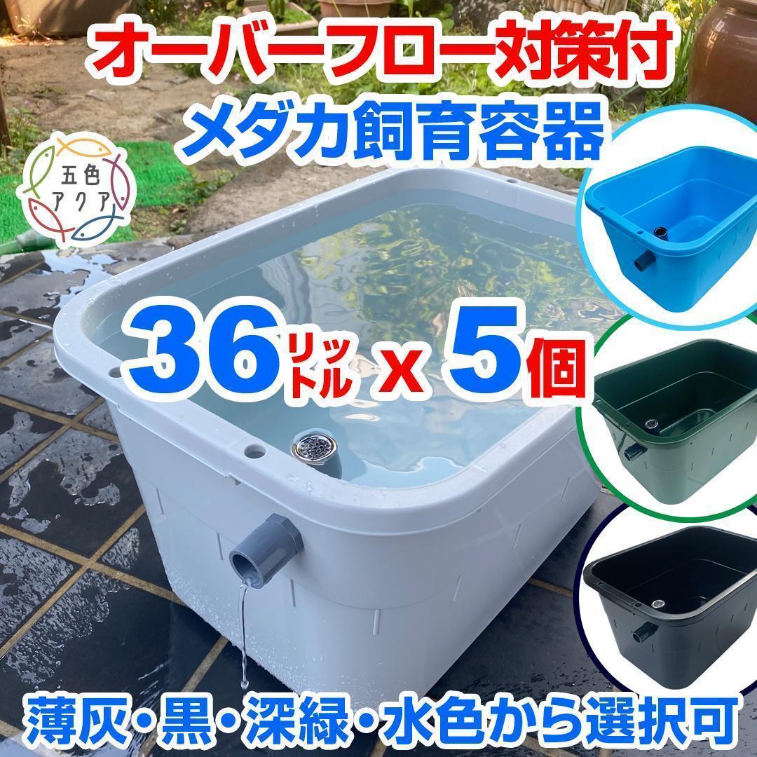 メダカ飼育ケース 36㍑x5個（4色あり） オーバーフロー対策済 金魚飼育容器 メダカ飼育ケース 36㍑x3個【4色あり】大雨でも安心 メダカ飼育容器