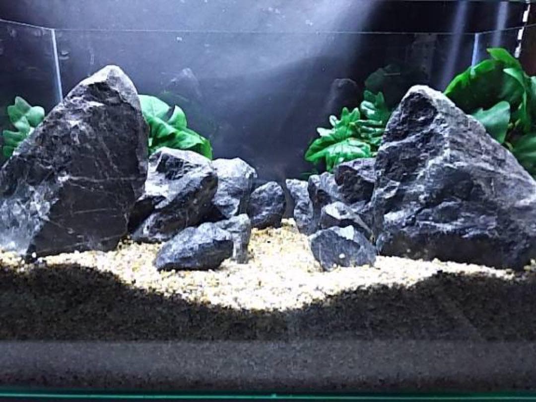 2[新品 親石付]清流石12キロ☆水槽 レイアウト 青龍石 山谷石 万天石