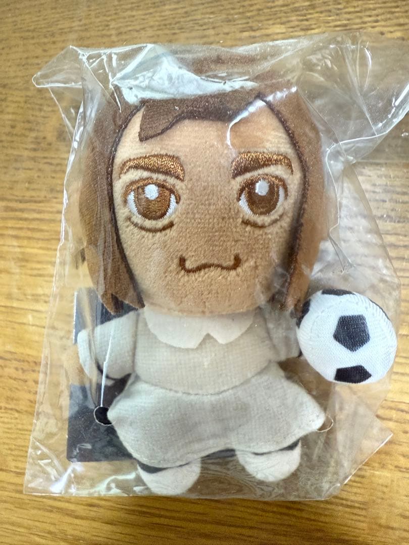 栃木シティ 田中パウロ淳一 パウちゃんぬいぐるみ 新品未開封 - メルカリ