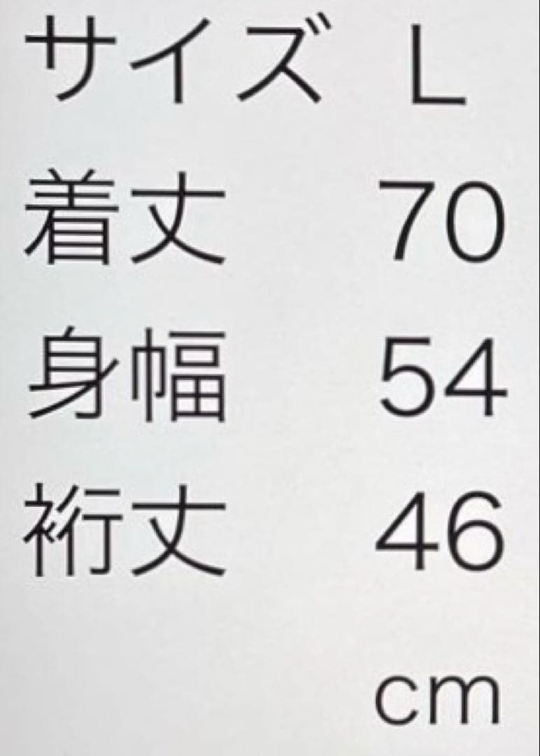 希少 92年 開幕時 サンフレッチェ広島 初代ユニフォーム 森保一 - メルカリ