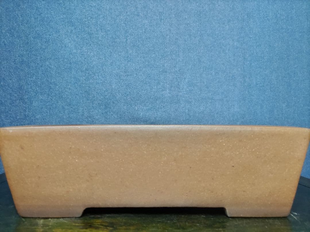 盆栽鉢 中野行山手造り 早い者勝ち - メルカリ