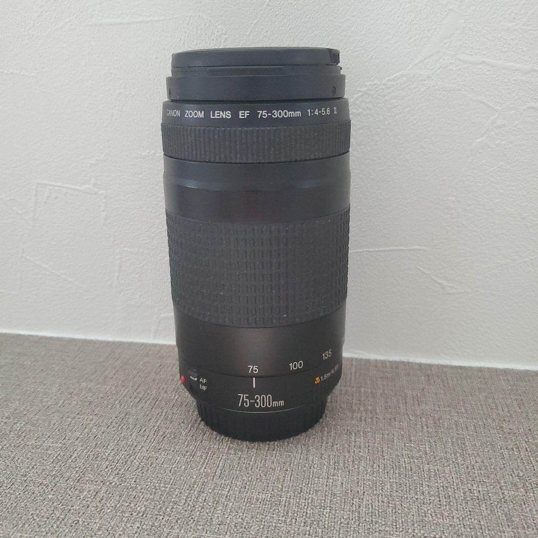 ◇大迫力超望遠◇ Canon純正 75-300mm II型 超望遠レンズ!!◇