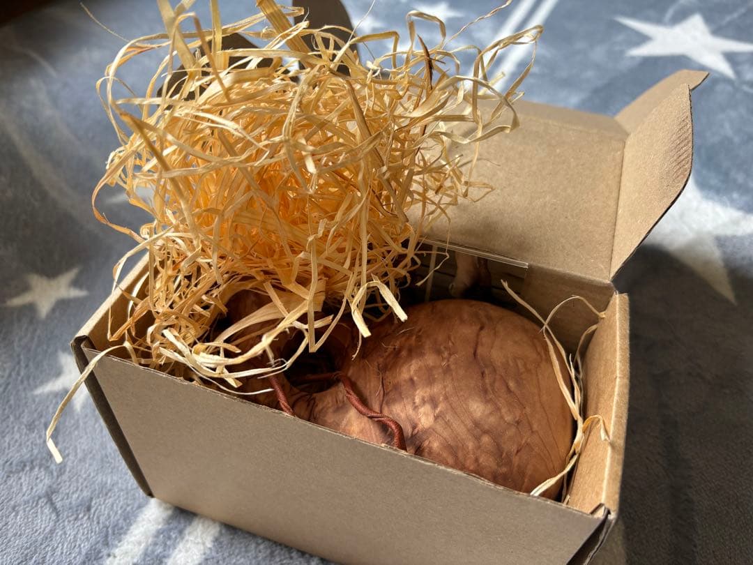 新品 希少 フィンランド ククサ Pahantekija Pellosta工房 - メルカリ