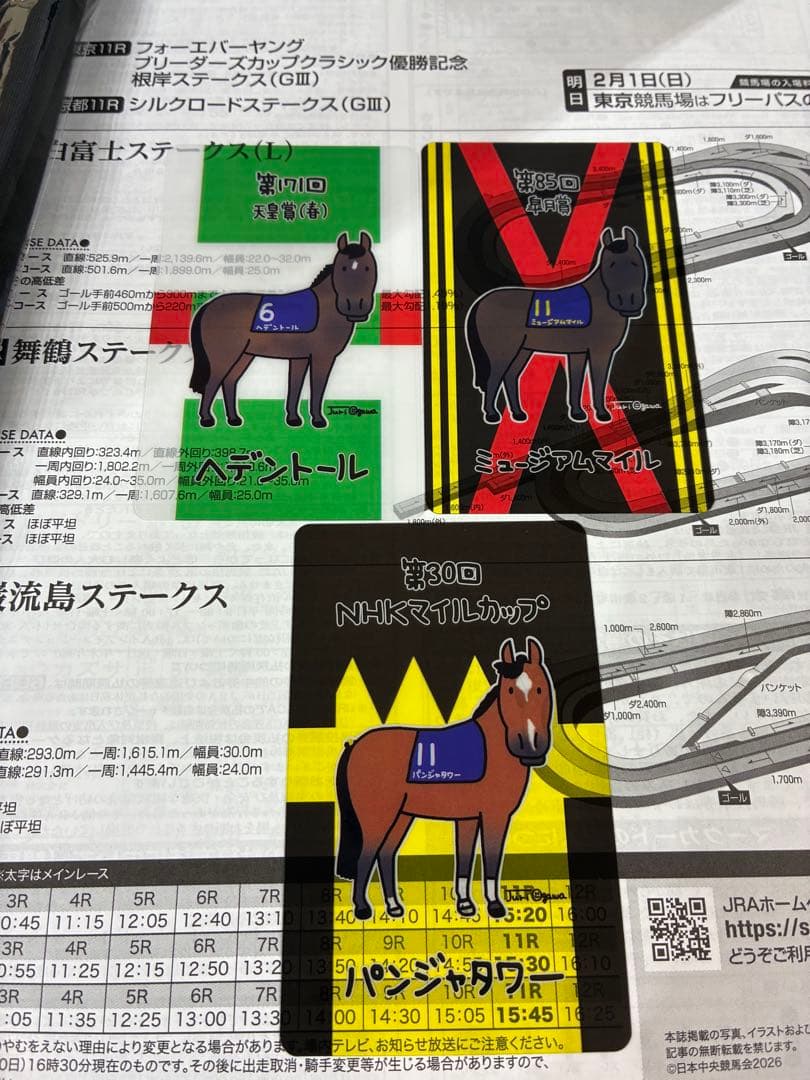 JRA ウェルカムチャンス 2025年G1 レース優勝馬 E賞 クリアカード