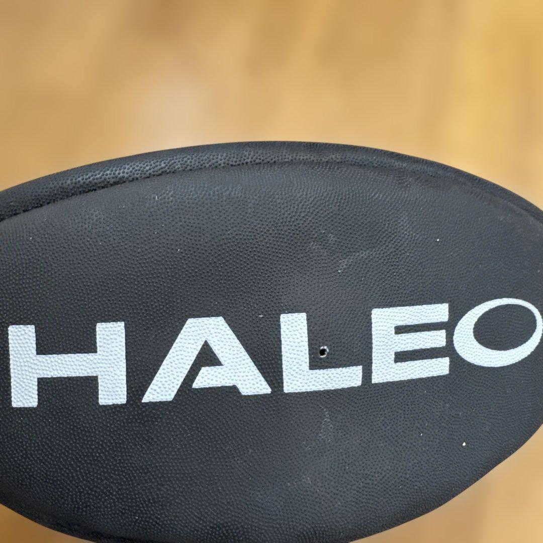 HALEO ボールバッグ ボールセット 稲垣啓太選手サイン入り 非売品