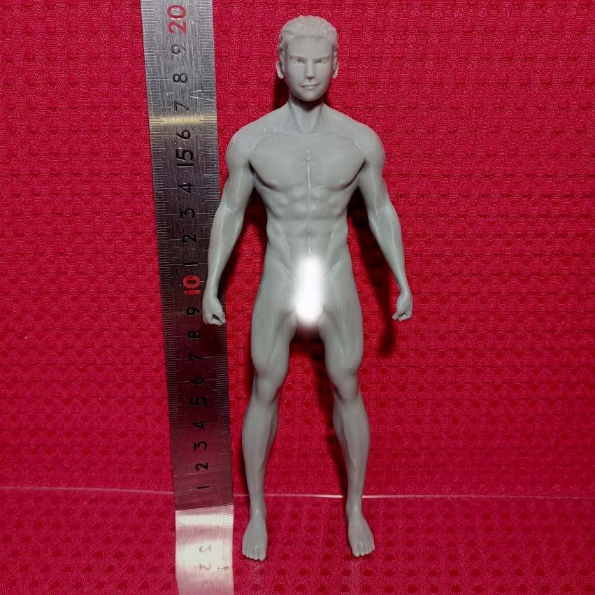 オリジナル品 ガレージキット カスタム 開運 幸運 春画 裸婦 女神 美女