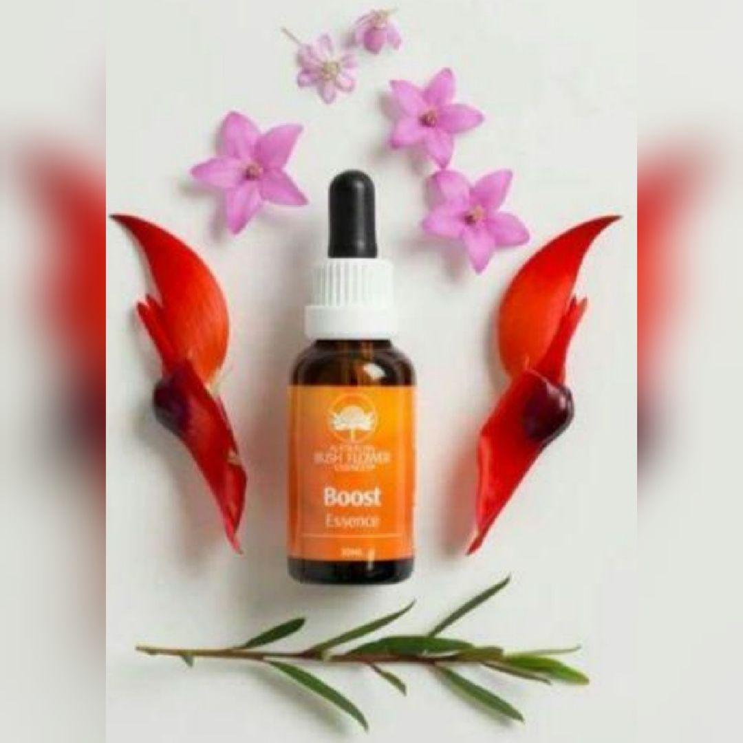 ブースト 『強化』オーストラリアンブッシュ フラワーエッセンス