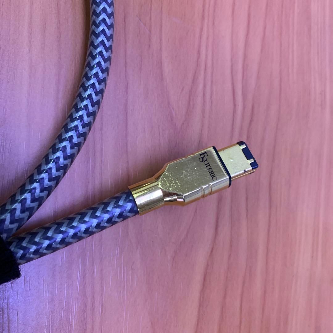 レア❗️ ESOTERIC i.LINKケーブル　8N-6P/6Pi 1.0m