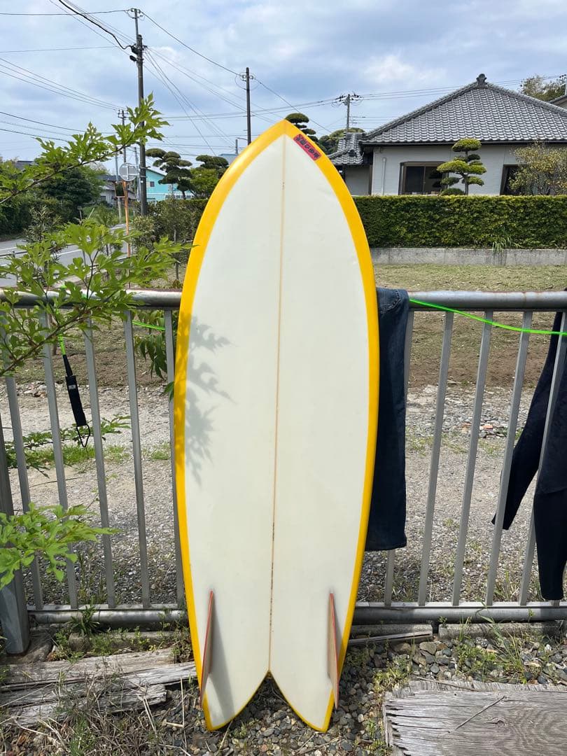 Hand Shaped Fish Surfboard