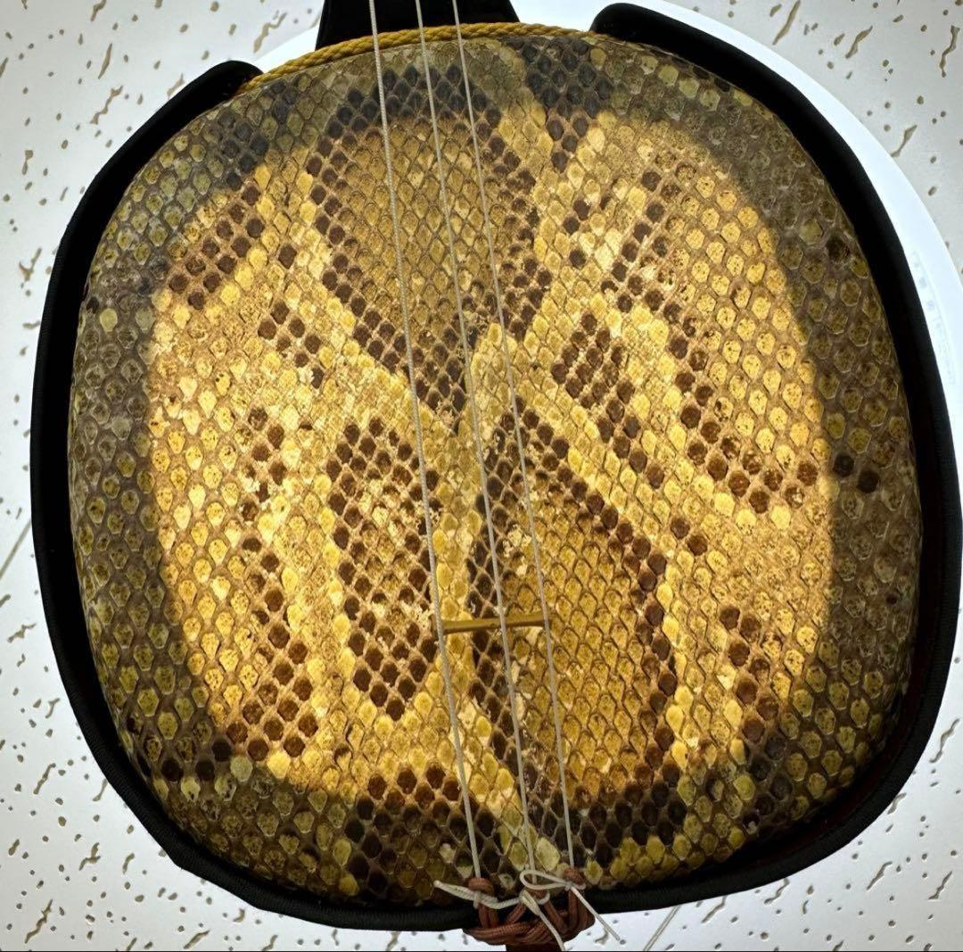 本日限定価格 沖縄三線 黒塗り 天然 蛇皮 ハードケース 和楽器 本日限定