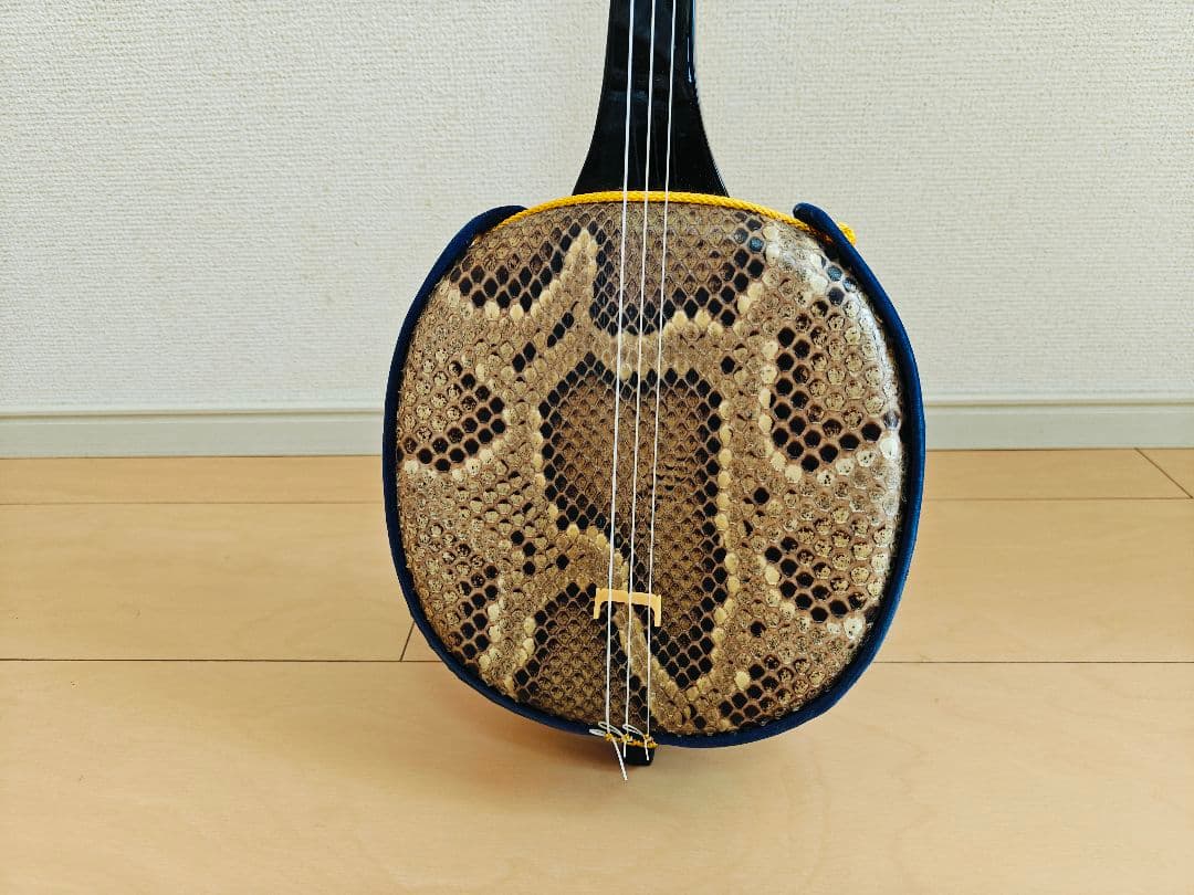 初心者向け 沖縄 三線 蛇皮模様 専用ハードケース 教本 チューナー他