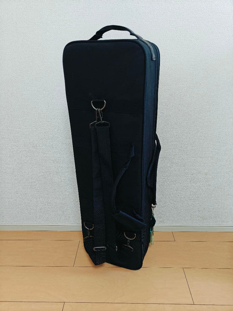 初心者向け 沖縄 三線 蛇皮模様 専用ハードケース 教本 チューナー他