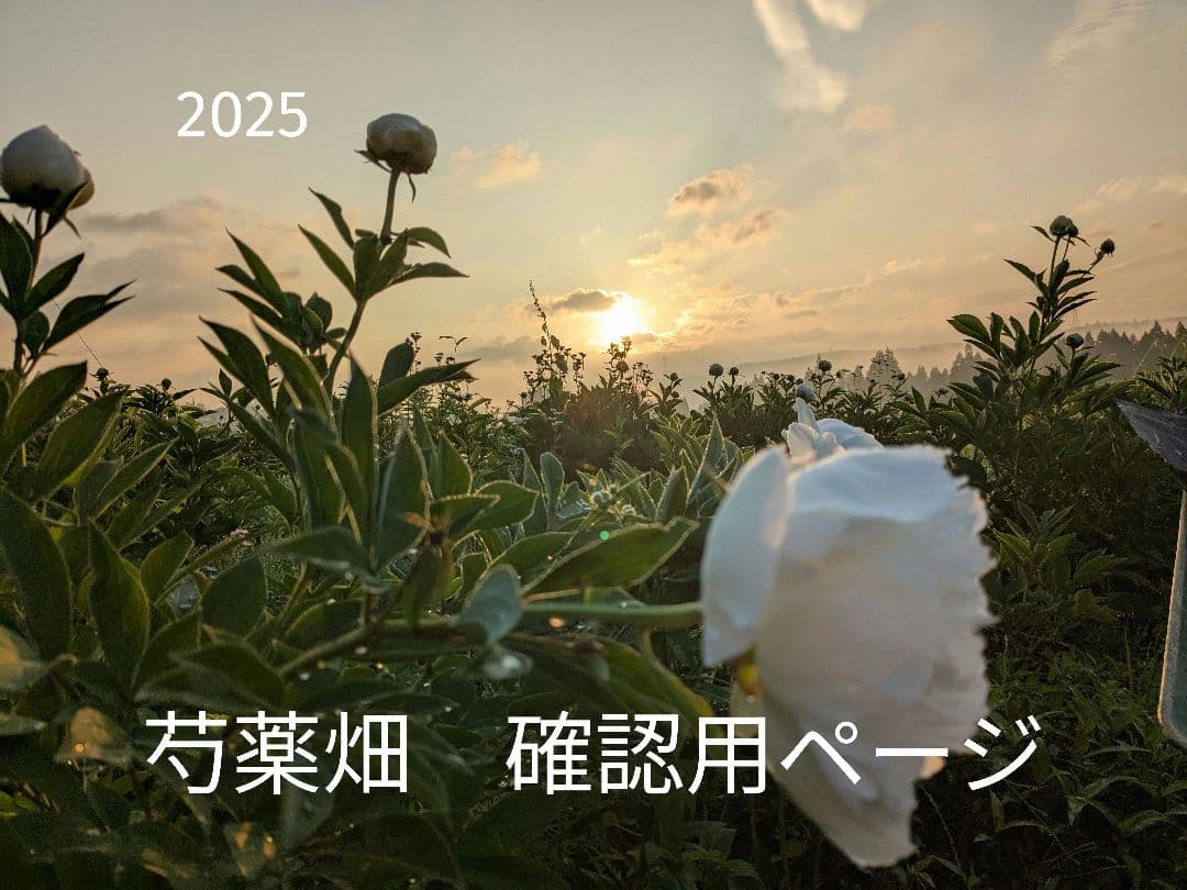 2025年　芍薬畑　確認用ページ 世界最大級の牡丹・芍薬庭園“奇跡のエシカルガーデン” 「つくば牡丹園