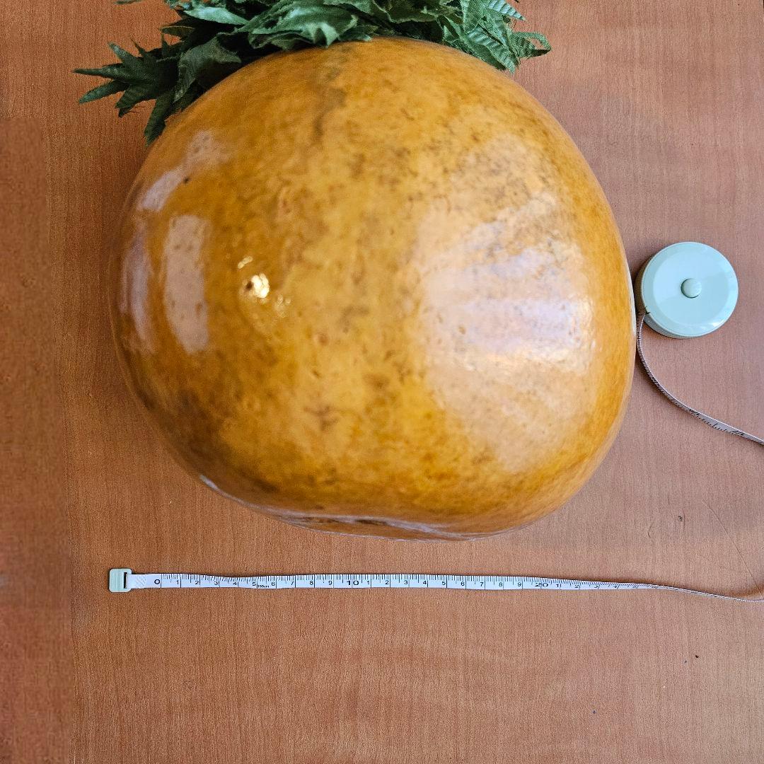 フラダンス用 楽器 イプ 幾何学柄カバー付き