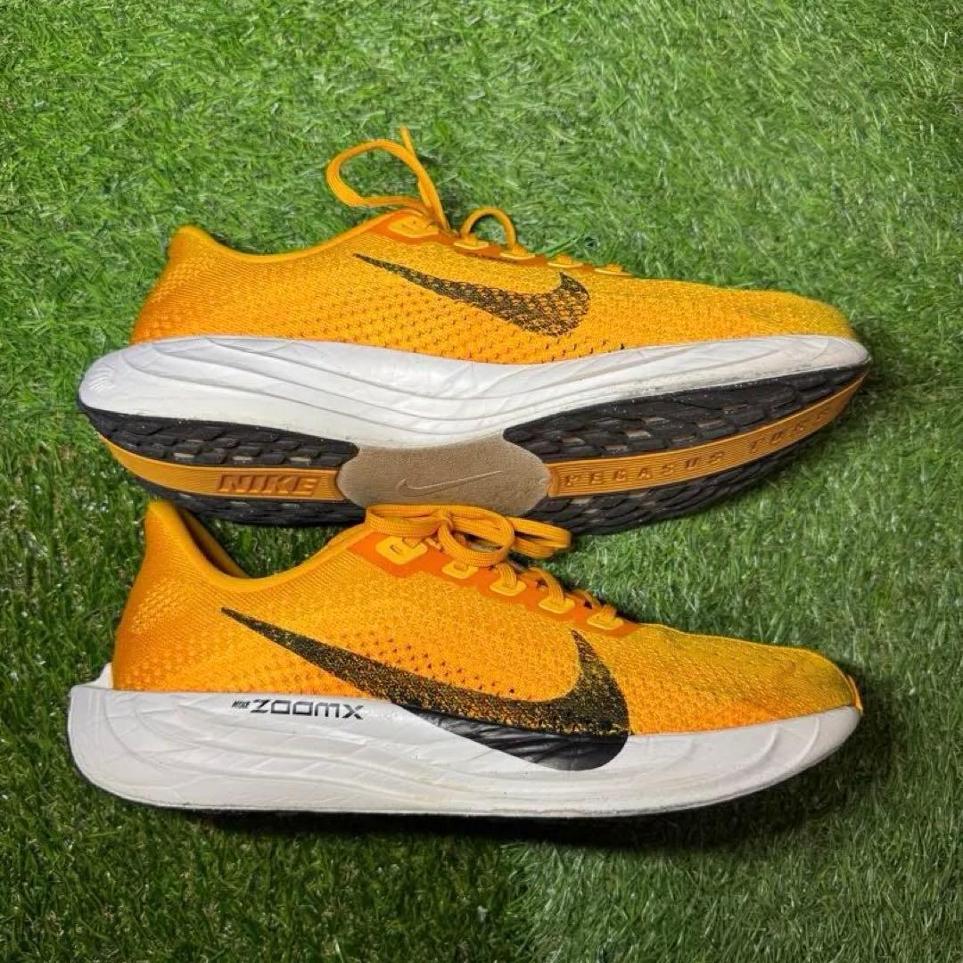 Nike ペガサスプラス メンズ ランニングシューズ 26.5cm