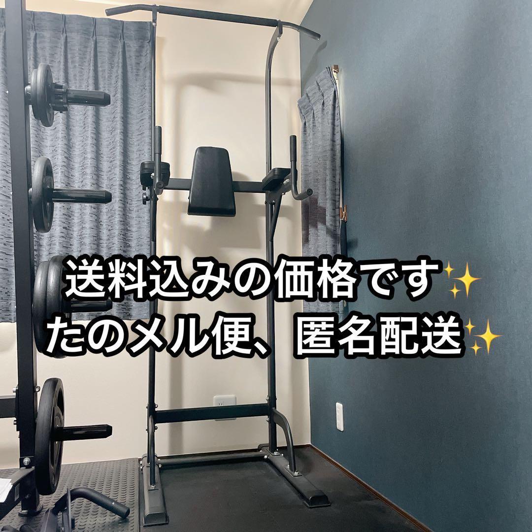 ◎ホームジム ST LE-VKR02 懸垂マシン ディップス レッグレイズ Amazon | リーディングエッジ ホームジム ST 保護マットセット 懸垂
