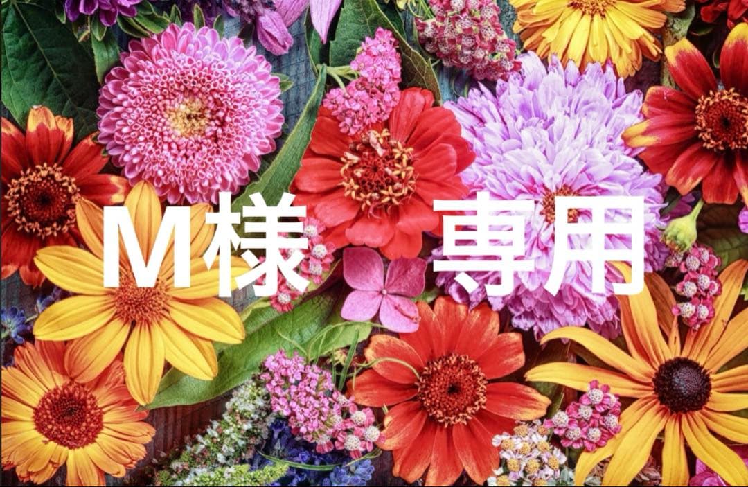 M 4SR Racing Power AR Motorcycle Suit | HHR Performance