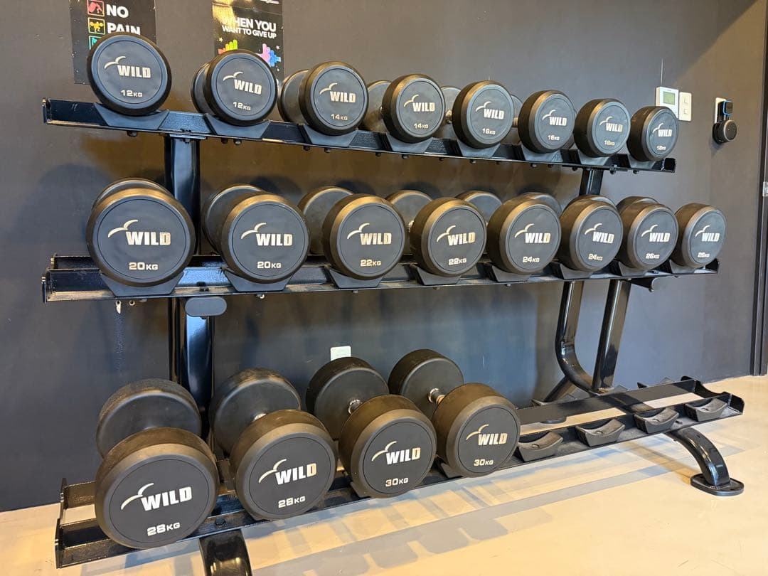 WILD 固定式ダンベルセット 12kg〜30kg ラック付き 2kg刻み WILD 固定式ダンベルセット 12kg〜30kg ラック付き 2kg刻み WILD 固定