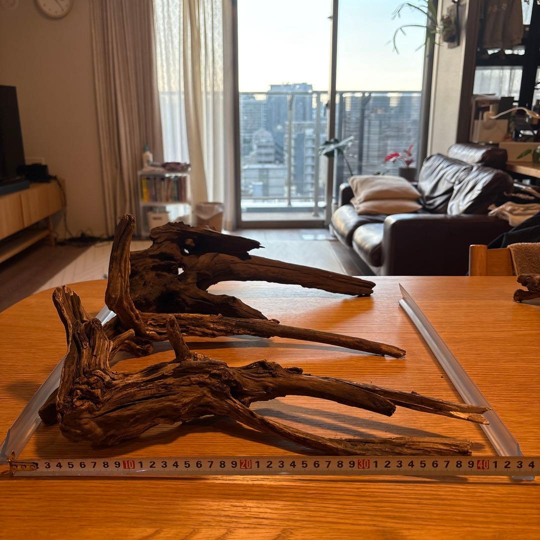 早い者勝ち】ADA流木3本、他流木2本