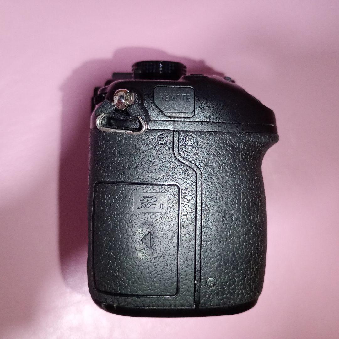 中古美品】LUMIX GH4 / 1331ショット / バッテリー2個