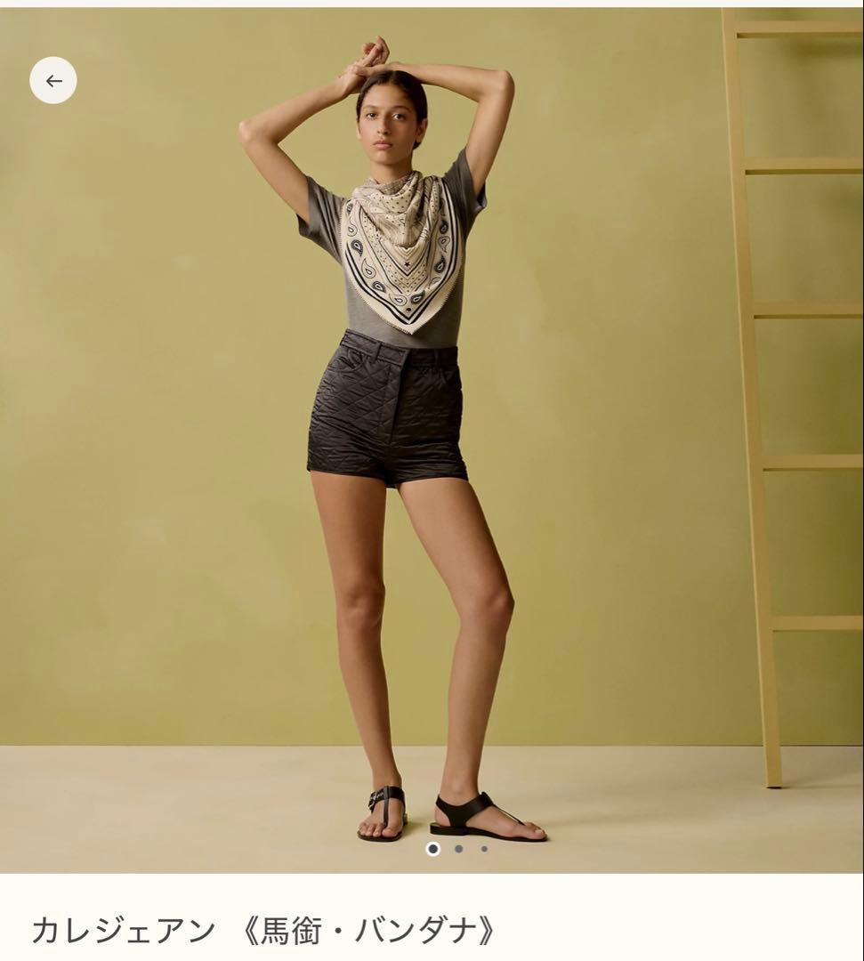 新品未使用　エルメス　2026新作　カレジェアン 《馬銜・バンダナ》本物保証