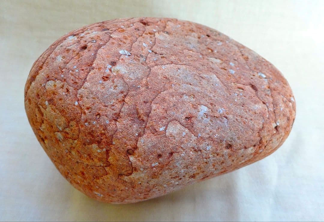 超レア!!姫川薬石赤虎(12)