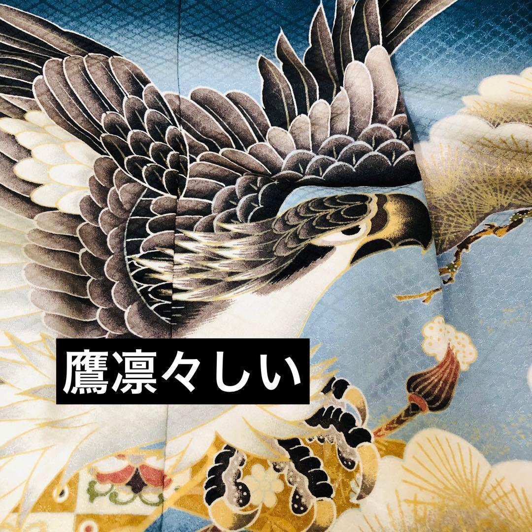 七五三五歳フルセット‼️Blue暈し⭐︎鷹凛々しい⭐︎