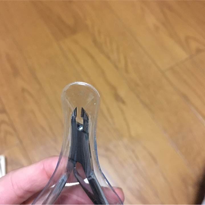 ヒカリニッパ