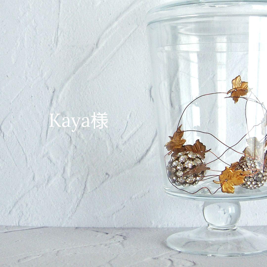 Kaya様 Kaya new album 