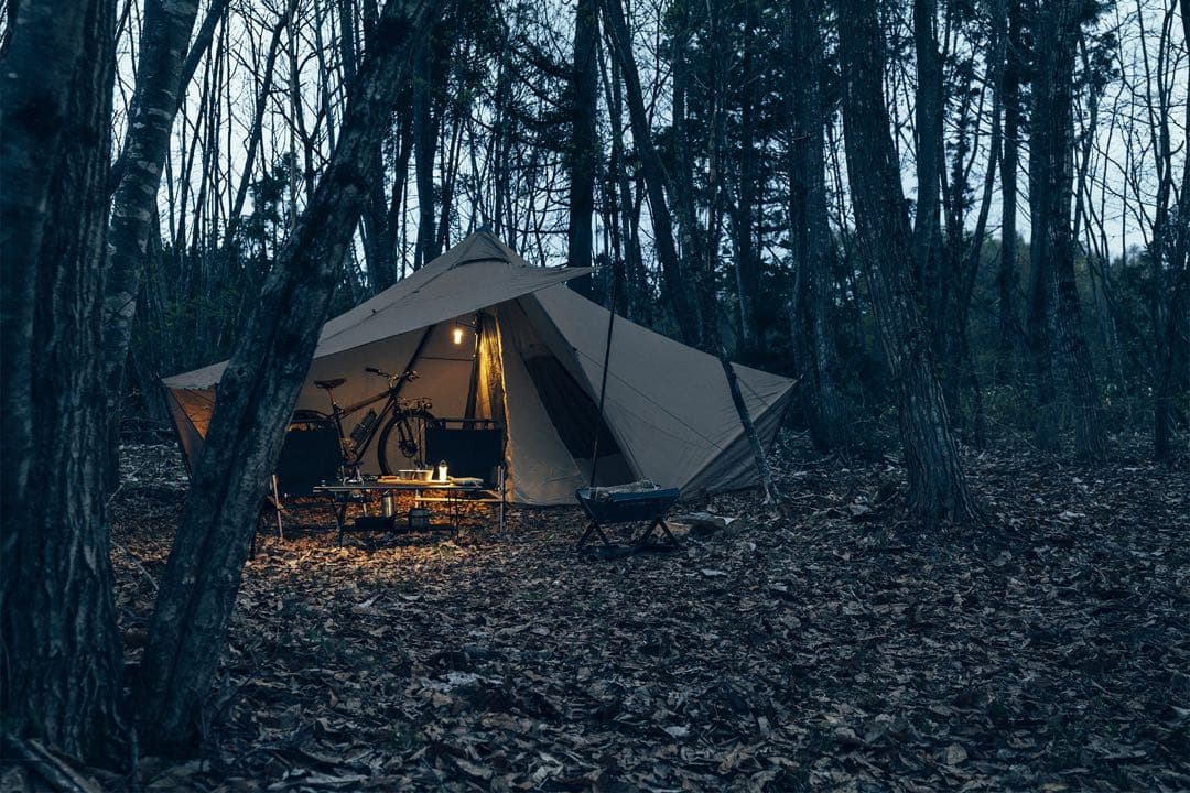 新品未使用 ゼインアーツ ギギ1 ZANEARTS GIGI1 GIGI-1 | PRODUCTS | ZANE ARTS