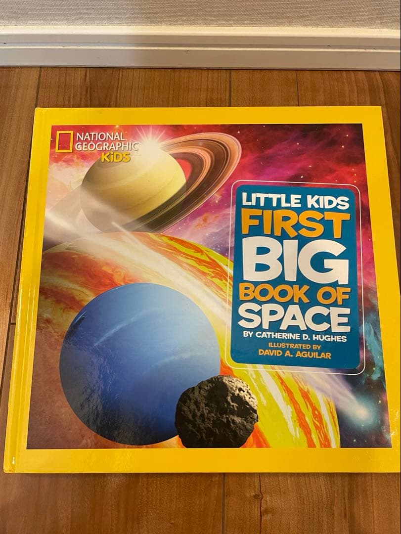 専用 Little Kids' First Big Book of など7冊