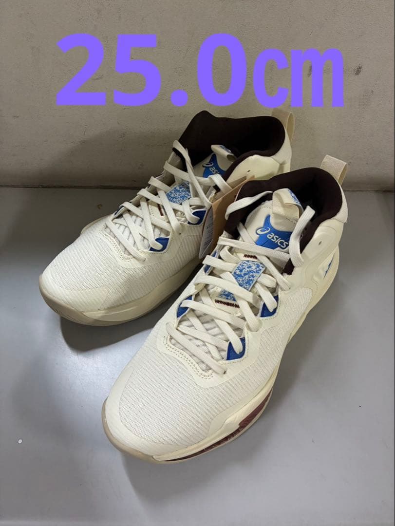 【お年玉価格】NOVA SURGE 3 750カラー 25.0㎝ お年玉価格】NOVA SURGE 3 750カラー 26.5㎝ ASICS（アシックス