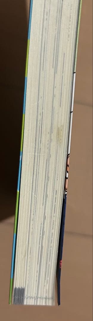 虎と宝とうろんな奴ら : サタスペリプレイダボラ